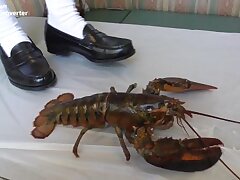 hiyori1-1-3full Her Luscious Strokes-A Skillful Handjob That Seduces Him Deeply