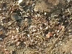 679495 Sizzling Mika & Kitty-Wild Lesbian Passion Unleashed!