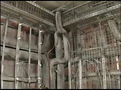 GAJ10 Sizzling Steamy Night-Hot Chicks & One Big Cock Delight