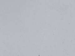 fujimura2-3877-25300167bea98897a96 Sizzling Asian Temptation-Blowjob & Hairy Pussy Orgy Delight