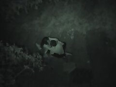 FU10_Night_Crawling_303 Sensuous Hairy Babe Enjoys Intense Anal Thrusts & Pleasure