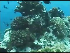 THP02 Teen's First Time-Slender Beauty Discovers Pleasure with a Big Man