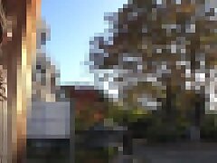 WAAA-030 Reina's Seductive Hunger-Deep Cock in Her Wet Desire