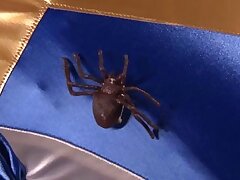 SPSD64_01 Subway Secrets-Oriental Schoolgirl's Forbidden Encounter